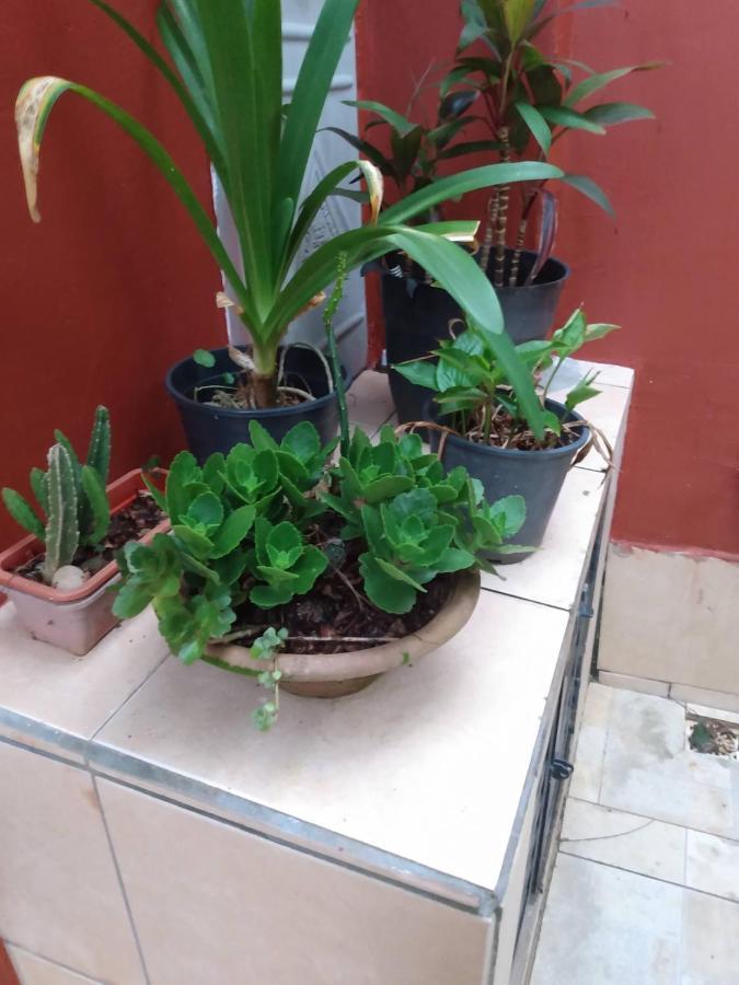 Hospedaria Namaste Peruibe Ngoại thất bức ảnh